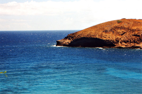 photo01.jpg (56295 bytes)