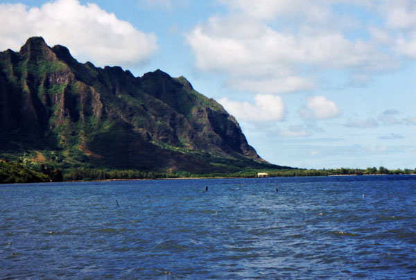 photo01.jpg (56295 bytes)
