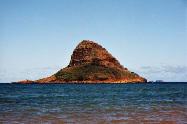 photo01.jpg (56295 bytes)