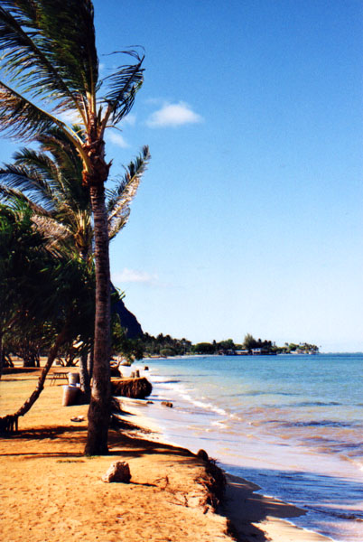 photo01.jpg (56295 bytes)